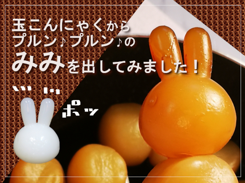 玉こんにゃくからみみを出しました